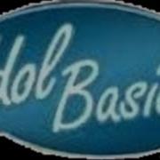 Idolbasics