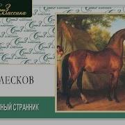 Странник Аудиокнига