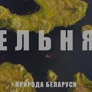 Топовое Болото