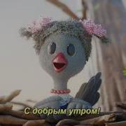 С Добрым Утром Малыши Меркатор