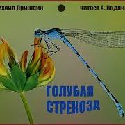 Пришвин Голубая Стрекоза