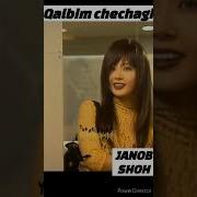 Qalbimchechagi