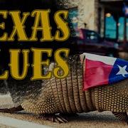 Texas Blues Bed 30