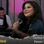Terane Qumral Yansin Yansin