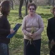 Dagli Ulivi Alla Risaia