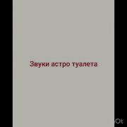 Звуки Астро Туалета