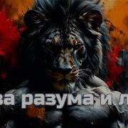 Битва Разума И Лени Спорт Мотивация