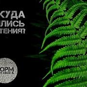 Изучение В Начальной Школе Возникновение Растительных Организмов На Земле