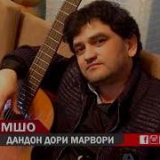 Бахромшох Мирзошоев Дандон Дори Марвори