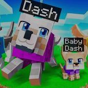 Dash