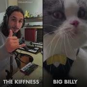 Big Billy Live Looping Talking Cat Remix