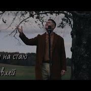 Посмотри На Стаи Журавлей