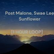 1 Hour Sunflower Post Malone And Swae Lee