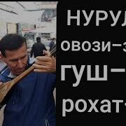 Нуруллои Муминободи
