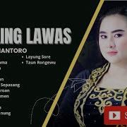 Taring Laws Yeyen Album Evolusen