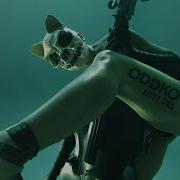 Oddko