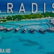 Island Paradise