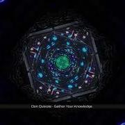 Don Quixote Gather Your Knowledge Transcape Records