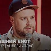 Андрей Атлас Про Шиншиллу