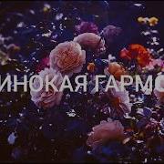Одинокая Гармонь Кавер