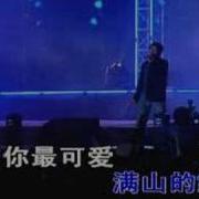 你是我的玫瑰花