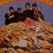 Paradise Flats Status Quo