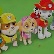 Paw Patrol Deutsch Intro