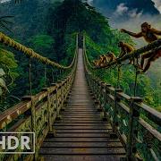 Vidio