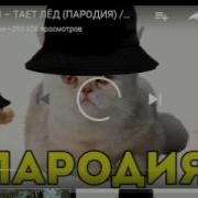 Песня Между Нами Сидит Кот