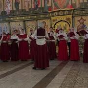Висков Встречайте
