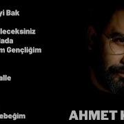 Ahmet Kaya Albüm