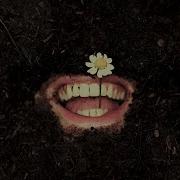 Psychopomp Song