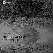 The Moment Helly Larson