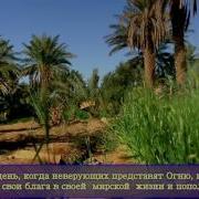 Сиратулло Раупов Сура 46 Аль Ахкаф Барханы