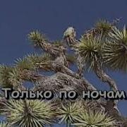 Старая Мельница Минусовка