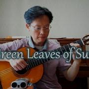 The Green Leaves Of Summer The Brothers Four Guitar Fingerstyle Cover