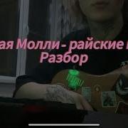 Райские Цветы На Гитаре