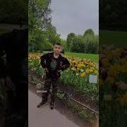 Akam Bilan Mazza