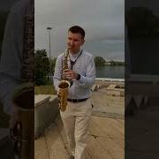 Белые Розы Саксофон