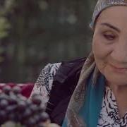 Аламли Шахзода