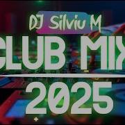 Dj Silviu Dance 2024