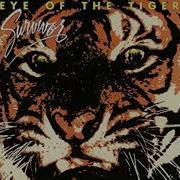 Survivor Eye Of The Tiger Backing Track