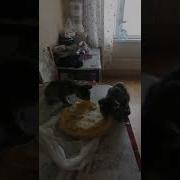 Для Этой Категори Уголовников