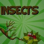 Insects Cartoon Song
