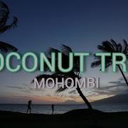 Mohombi Ft Nicole Scherzinger Coconut Tree Remix