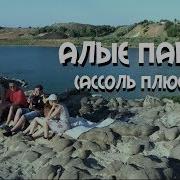 Sheepовская Ассоль Плюс Грей