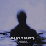 Too Late To Be Sorry Slowed