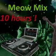 Meow Mix Song 10 Hours Hd Cat Music Edm Cat Remix Dancing Cats
