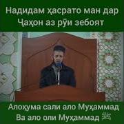 Мавлуд Бай