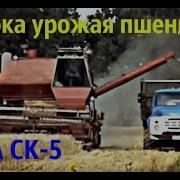 Комбайн Нива Ск 5 Уборка Урожая Пшеницы